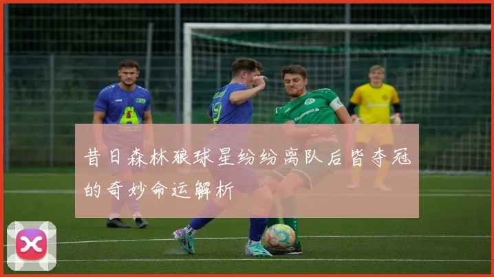 昔日森林狼球星纷纷离队后皆夺冠的奇妙命运解析